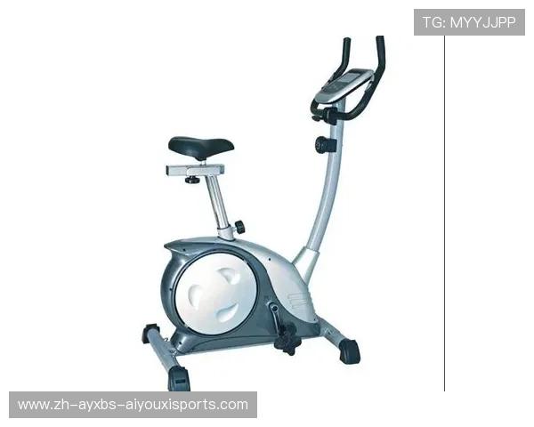 邢台康乐佳健身器材产品种类及市场反馈